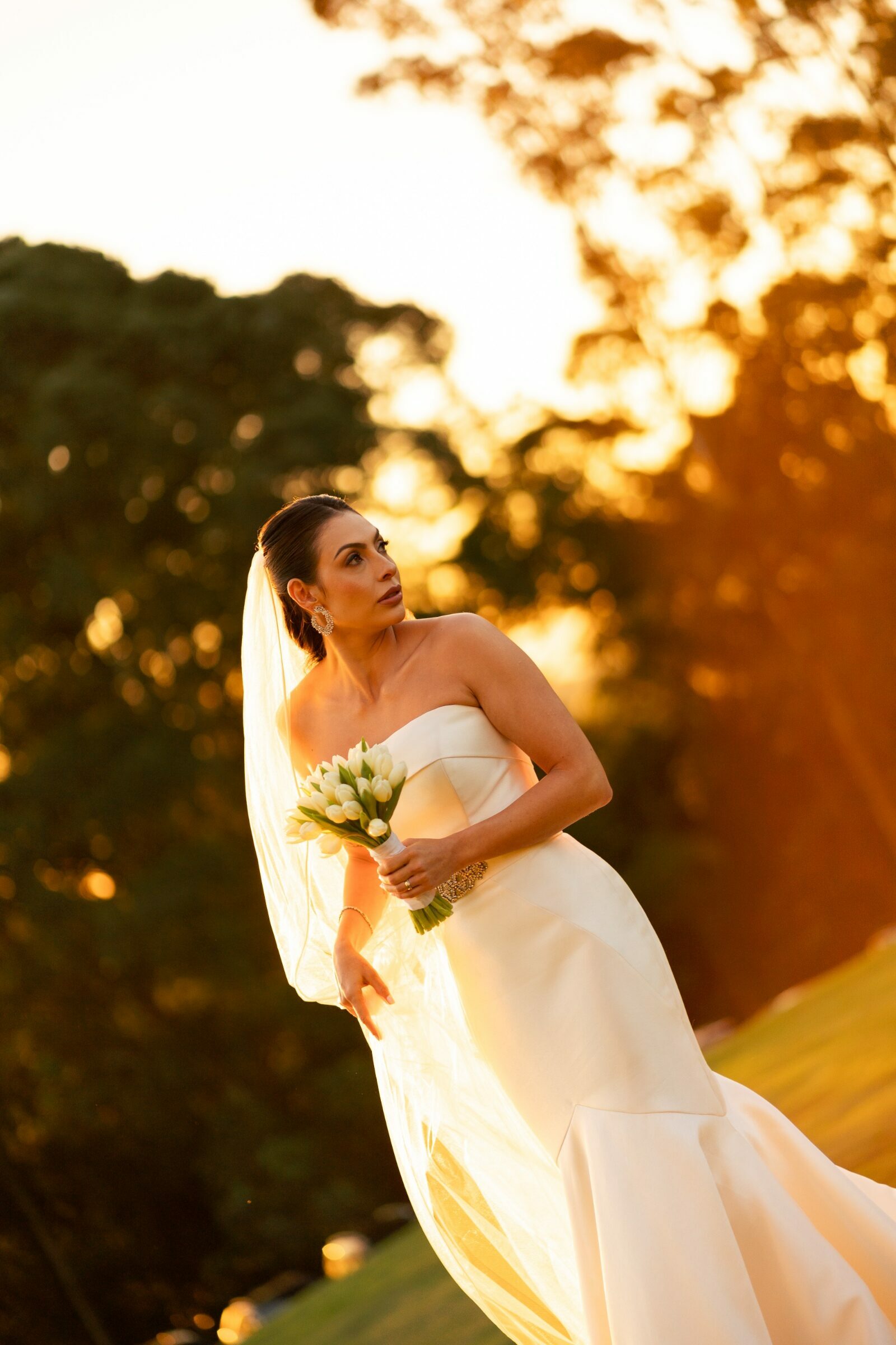 Foto de SAULO CAMPELO 19